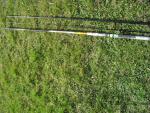 Big Trout Sbirolino "ML"